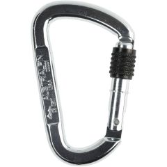 Austrialpin D Asymm Steel Carabiner - Screw Locking - Bright